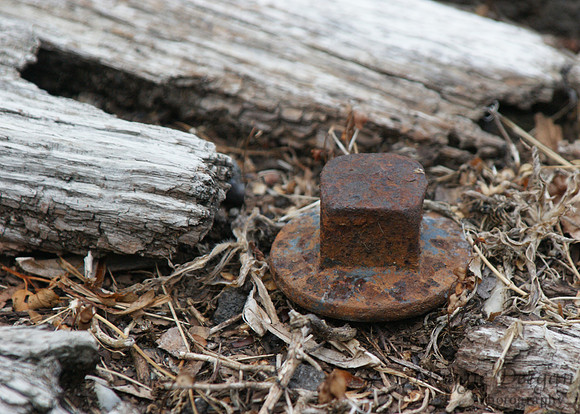 2009 Project 365
