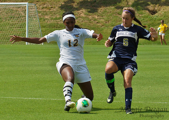 Towson University Mount St. Mary's University