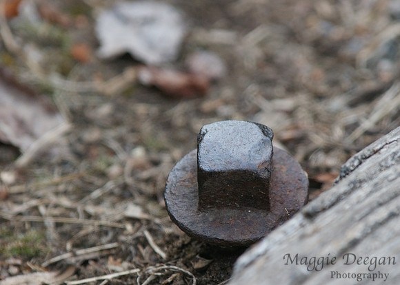 2009 Project 365