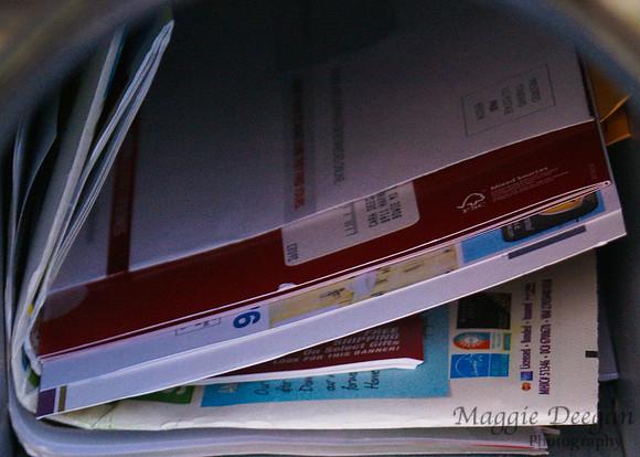 Nov 18 Fill the Frame