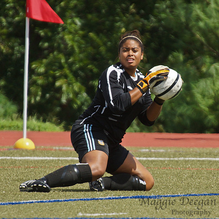 Howard v Mount (9-9-12)