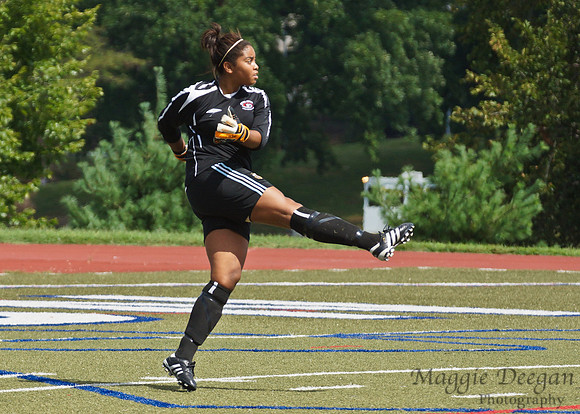 Howard v Mount (9-9-12)