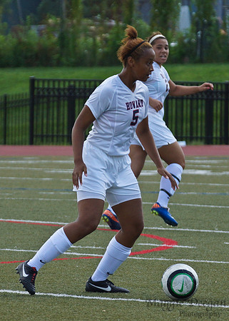 Howard v Mount (9-9-12)