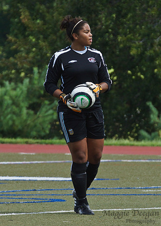 Howard v Mount (9-9-12)