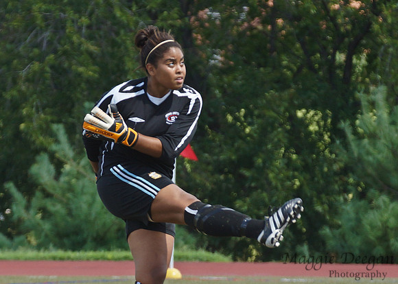 Howard v Mount (9-9-12)