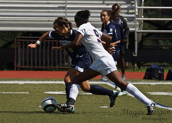 Howard v Mount (9-9-12)