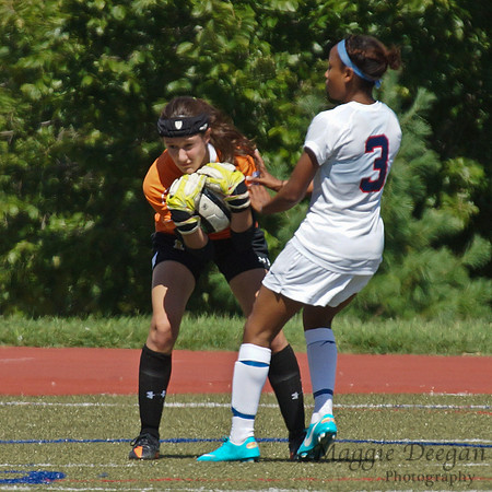 Howard v Mount (9-9-12)