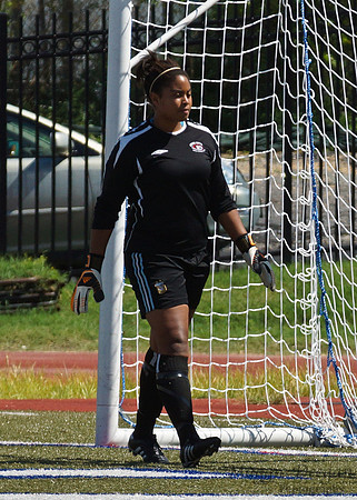 Howard v Mount (9-9-12)