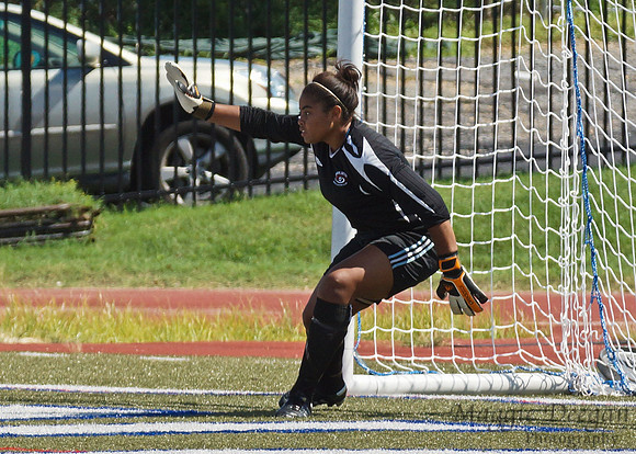 Howard v Mount (9-9-12)