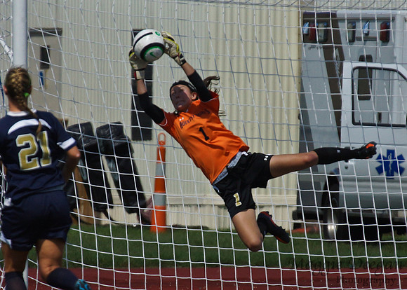Howard v Mount (9-9-12)