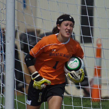 Howard v Mount (9-9-12)