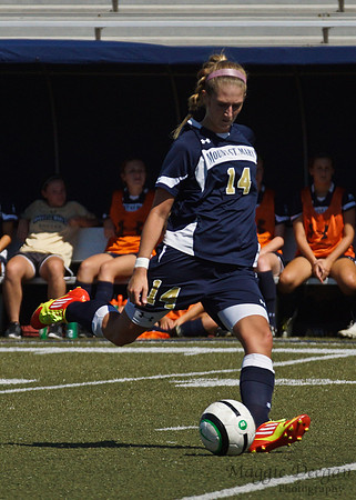 Howard v Mount (9-9-12)
