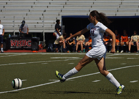 Howard v Mount (9-9-12)