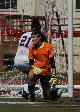 Howard v Mount (9-9-12)