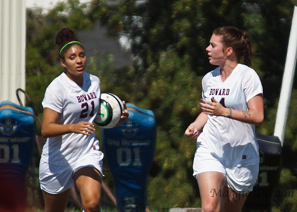 Howard v Mount (9-9-12)