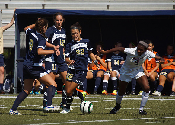 Howard v Mount (9-9-12)