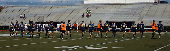 Howard v Mount (9-9-12)