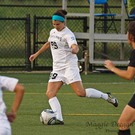 Mount v VMI (9-14-12)