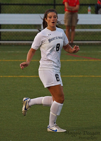 Mount v VMI (9-14-12)