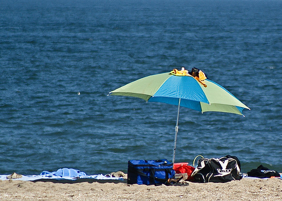 Travel 2010