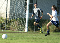 Fury v TFC 2H (Navy)