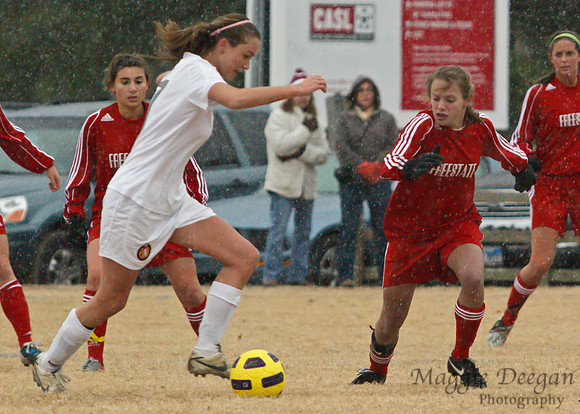 CASL 2010