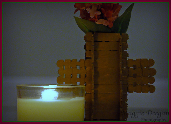 2009 Project 365