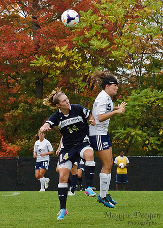 Robert Morris University Mount St. Mary's University