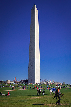 Washington DC