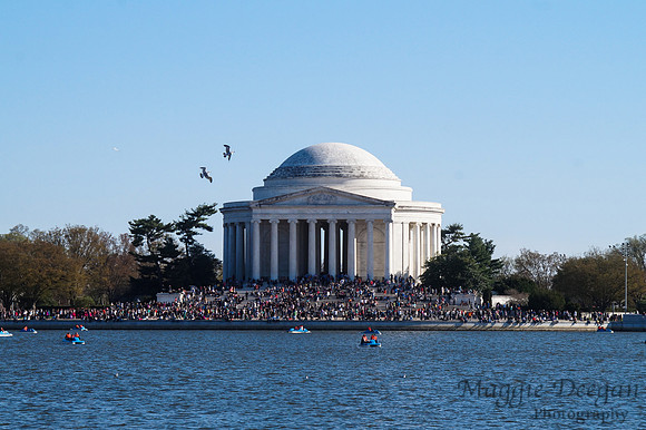 Washington DC