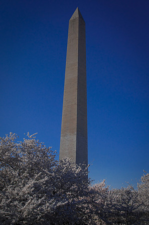 Washington DC