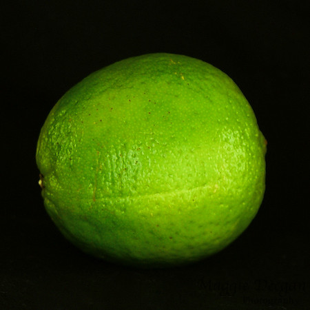 Project 365 2012