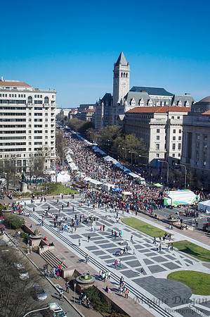 Washington DC