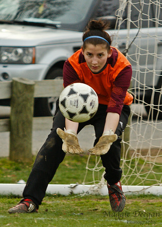 State Cup 2011