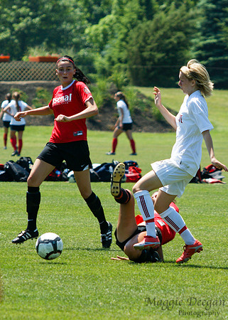 PDA Tournament 2010