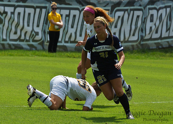 Towson University Mount St. Mary's University