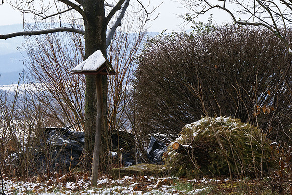 Travel 2012