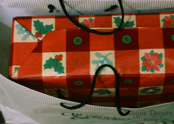 2009 Project 365