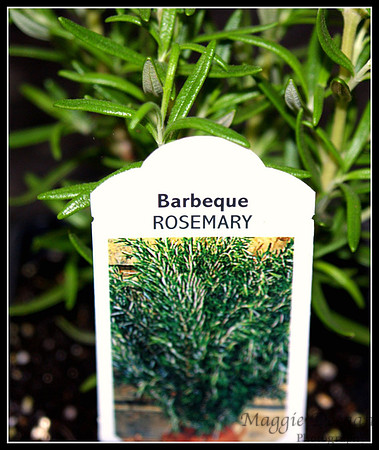 May 26 Spices