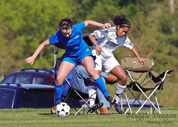State Cup 2011