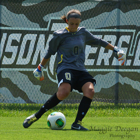 Towson University Mount St. Mary's University