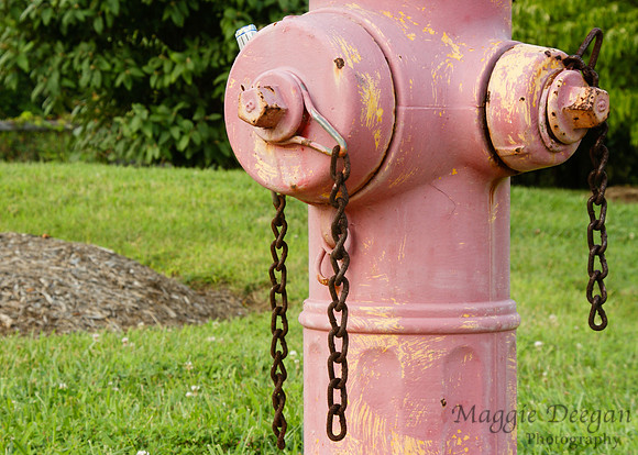 2009 Project 365