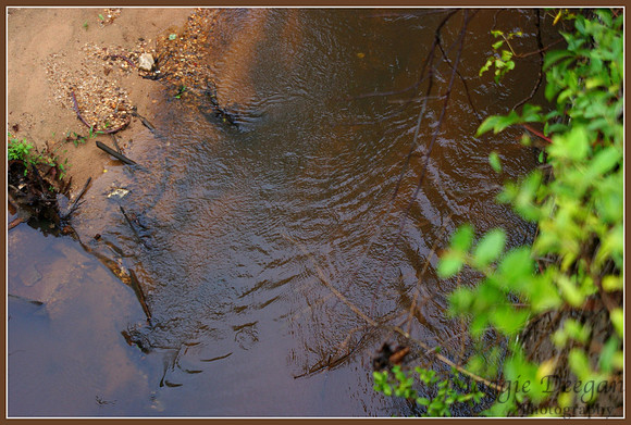 July 25 Water In Motion