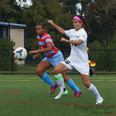 Mount St. Mary's University Delaware State University