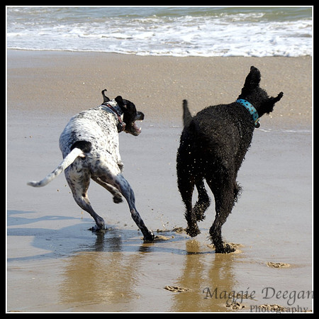 Aug 7 Motion Blur - People or Animals