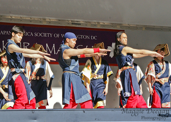 Sakura Matsuri - Japanese Street Festival