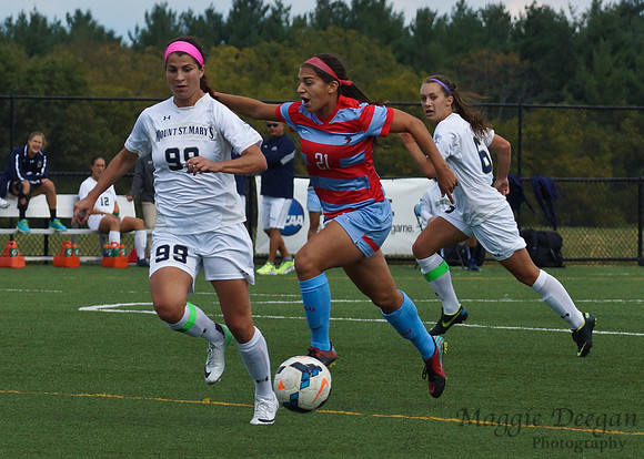 Mount St. Mary's University Delaware State University