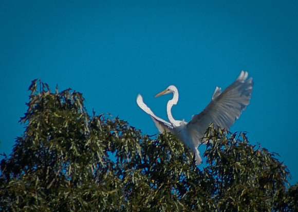 Travel 2010