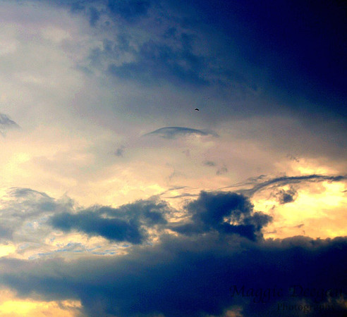 Aug 12 2010