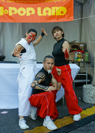 Sakura Matsuri - Japanese Street Festival